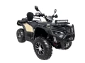 Quad Diabolini Monster 680 500cc.webp