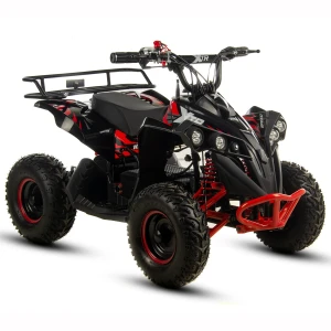 Mini Quad Elektryczny XTR E-M12 EM12/6 1200W