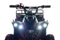 QUAD-XTR-E-M12-1000W-28-1024x683.webp