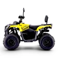caly-pojazd-atv-gotowy-do-jazdy-salon-visatex-wroclaw.webp