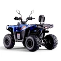 caly-quad-asix-gladiator-110-widok-z-przodu-visatex-wroclaw.webp