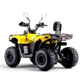 widok-z-boku-quad-spalinowy-asix-gladiator-visatex-wroclaw.webp