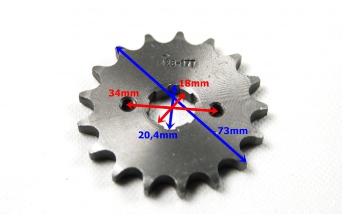 z5.jpg