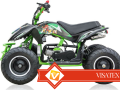 Mini Quad M10/6 50CC - E-START