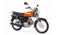 Romet Ogar 202 4T - EURO 5 - 50cc ( jak Barton Ranger ) pomarańczowy