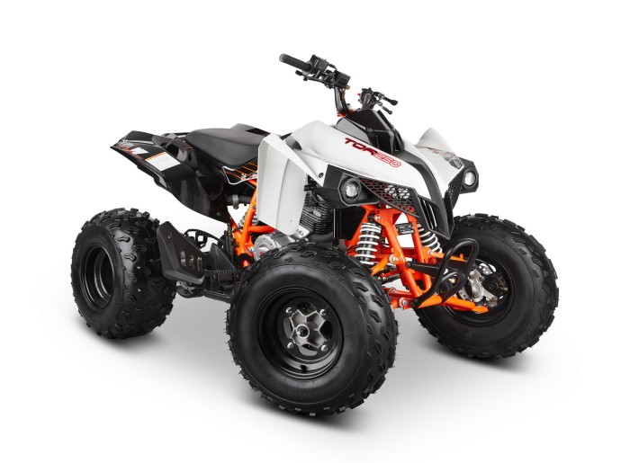 Quad KAYO TOR 250CC