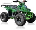 YD-QUAD-125CC-BIGFOOT-001-_1.jpg