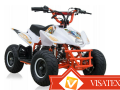 Mini Quad M10/6 50CC - E-START