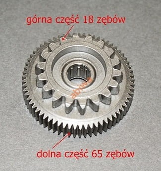 D17.jpg